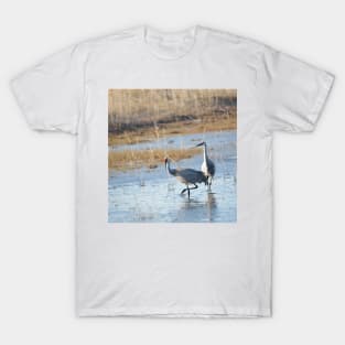 Sandhill Cranes Wading thru the Malheur NWR T-Shirt